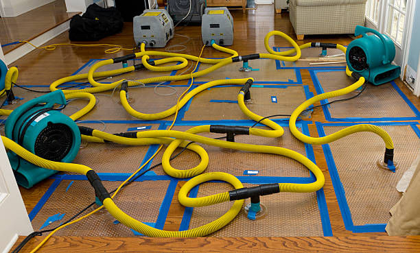 Professional Storm Water Damage Restoration technician working in Vernon, UT